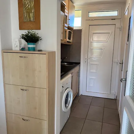 Balaton Vibe * バラトンフレド